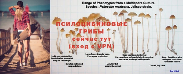 спиды Балахна